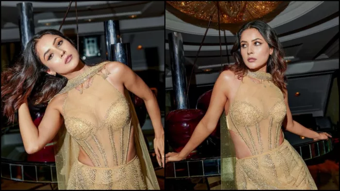 Shenaaz Gill लेटेस्ट तस्वीरों में लगीं बवाल। Photo-Instagram