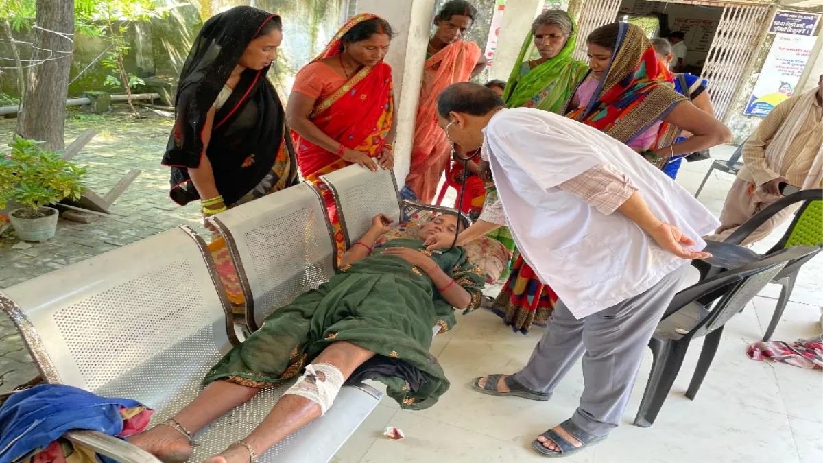 West Champaran News: घास काटने गई महिला पर भालू ने किया अटैक, हालत गंभीर; हमले के बाद दहला गांव