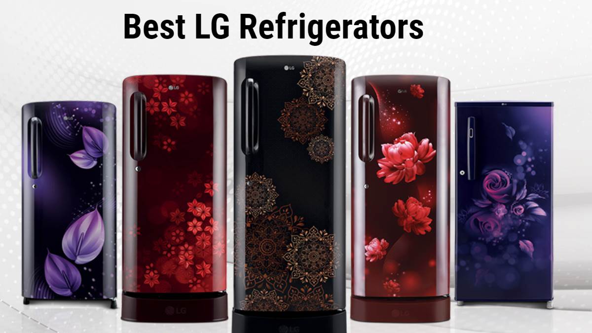 https://www.jagranimages.com/images/newimg/23092024/23_09_2024-best-lg-refrigerators_23802742.jpg