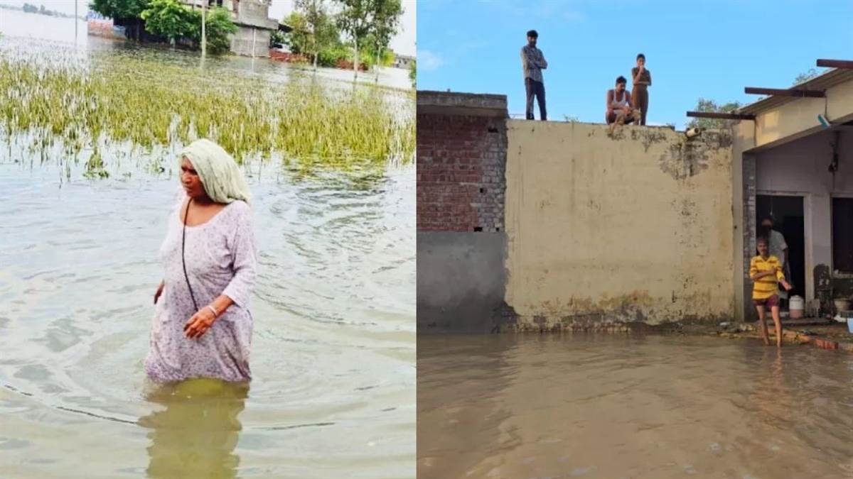 https://www.jagranimages.com/images/newimg/23092025/23_09_2025-punjab_flood_4_24057392.jpg