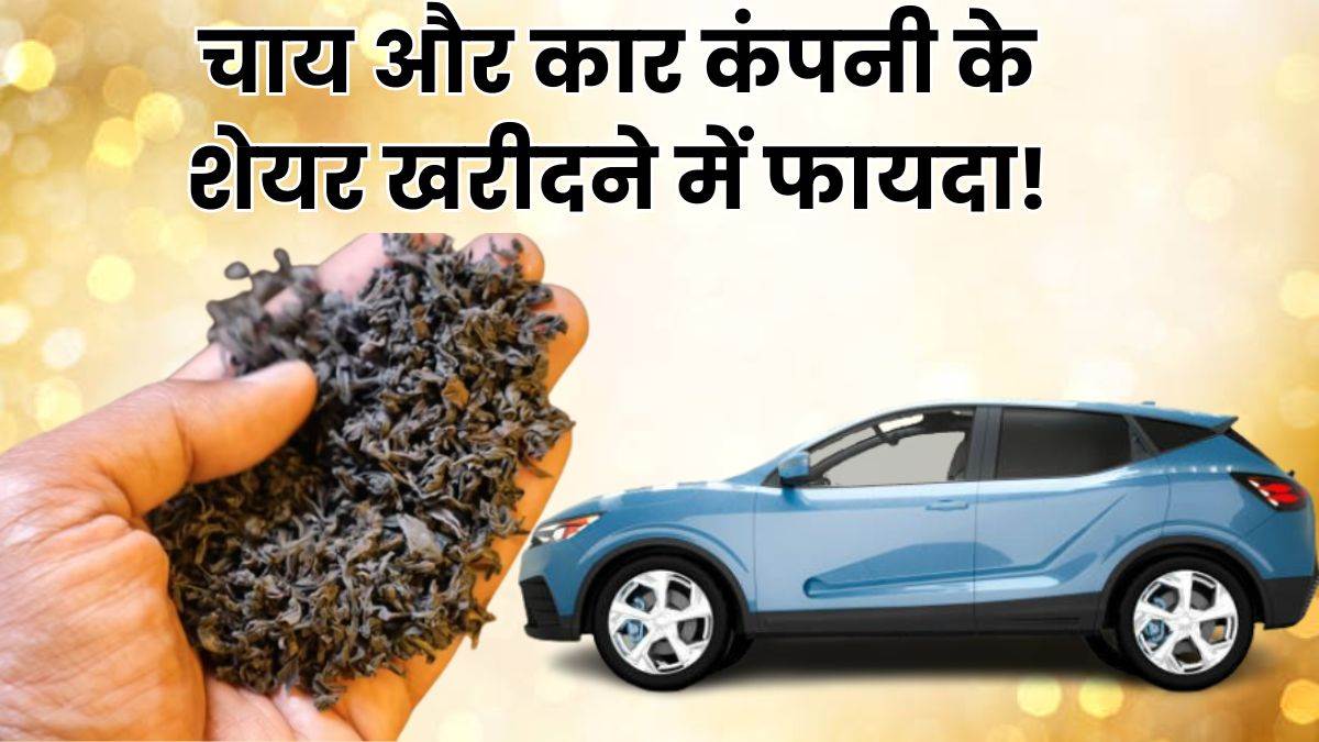 https://www.jagranimages.com/images/newimg/23092025/23_09_2025-stocks_to_buy_hyundai_and_tata_consumer_24056890.jpg