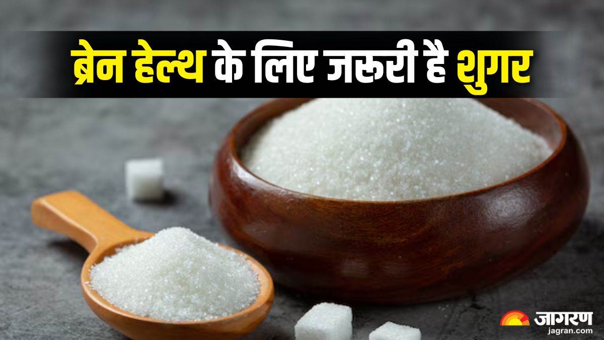 https://www.jagranimages.com/images/newimg/23092025/23_09_2025-sugar_for_brain_health_24057484_115520429.jpg