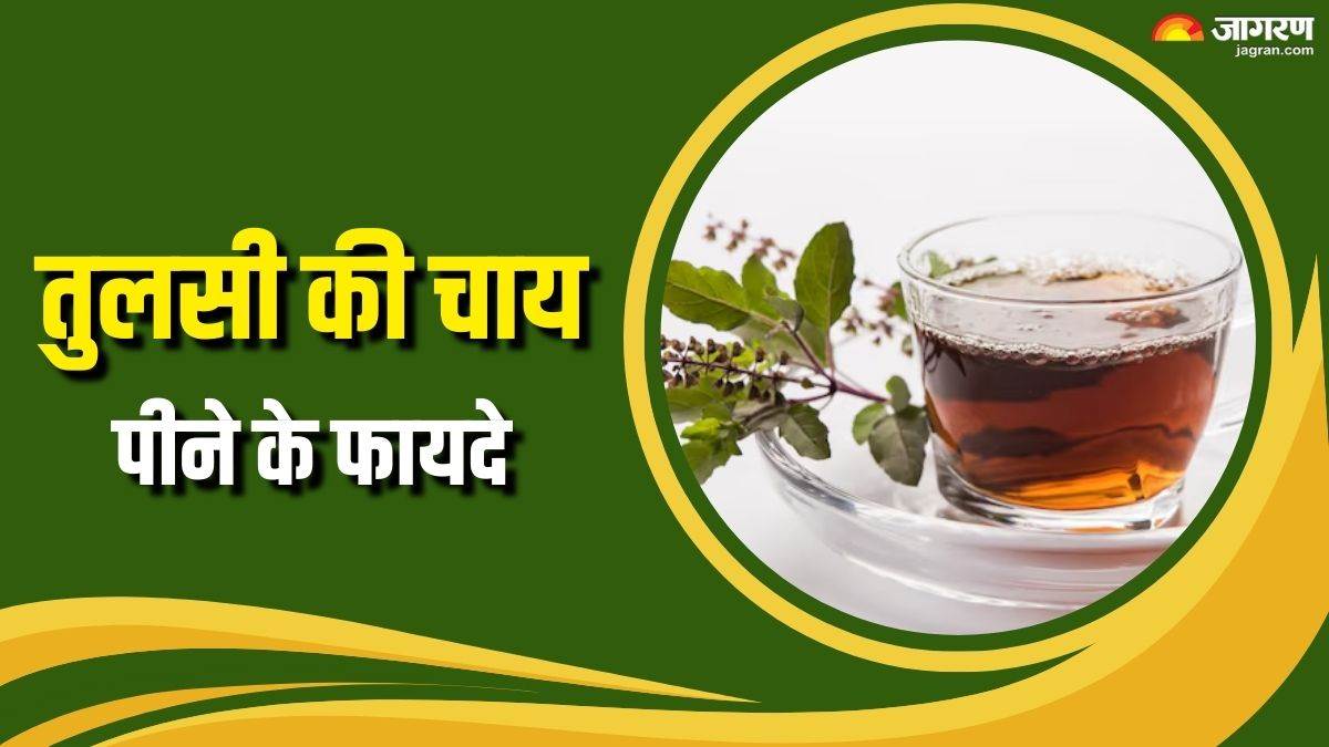 https://www.jagranimages.com/images/newimg/23092025/23_09_2025-tulsi_tea_benefits_24056826.jpg