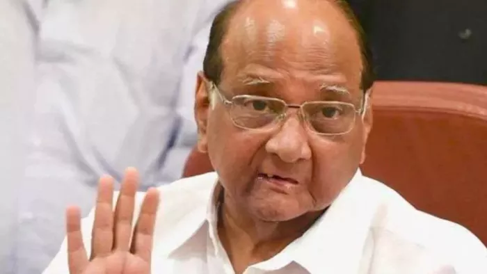 भाजपा की महाराष्ट्र इकाई के अध्यक्ष चंद्रशेखर बावनकुले पर बरसे राकांपा प्रमुख शरद पवार। फाइल फोटो।