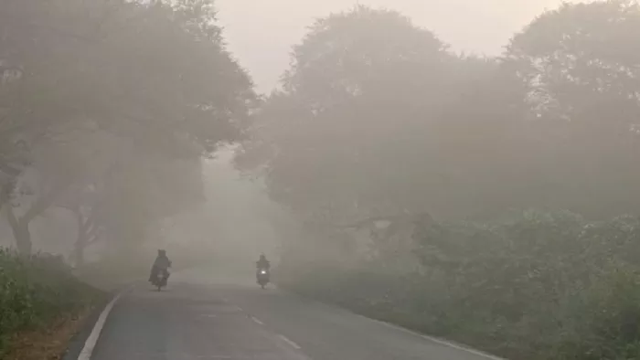 UP Weather Update: गुलाबी ठंड का अहसास, कोहरे की चादर में लिपटा सोनांचल; तापमान में गिरावट