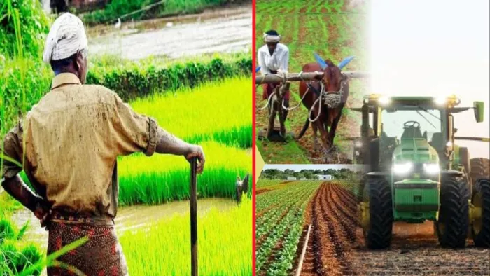 किसानों और कारोबारियों को बड़ी राहत मिलेगी।- जागरण