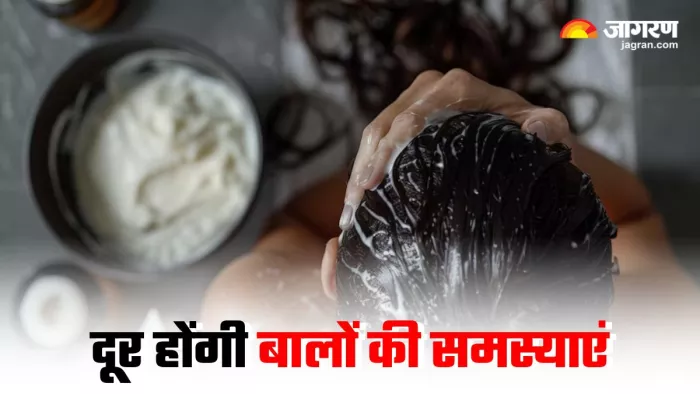 बालों को सिल्की और शाइनी बनाने के साथ मजबूती भी देंगे ये बीज, बस ऐसे करें इस्तेमाल (Image Source: Freepik)