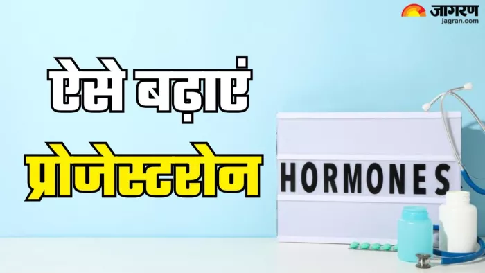 इन फूड्स से बढ़ाएं शरीर में progesterone hormone का लेवल (Picture Credit- Freepik)