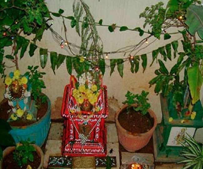 Tulsi Shaligram Vivah Katha Read This Story During Tulsi Vivah Puja