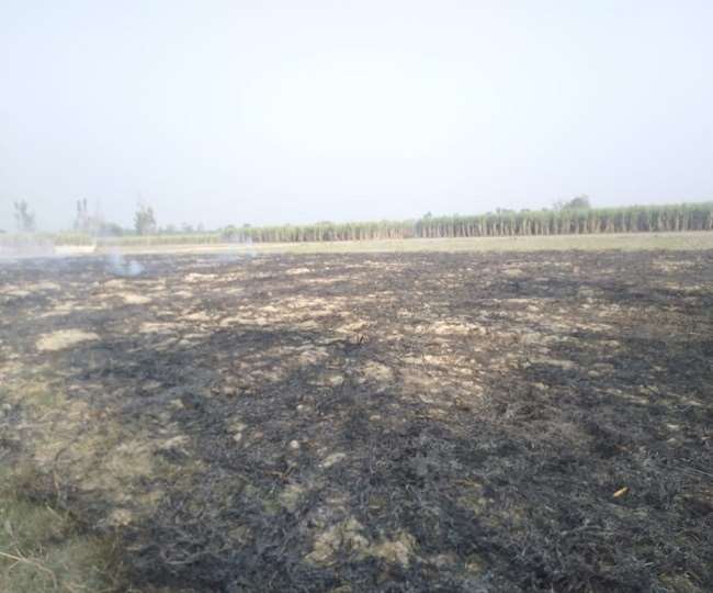 Stubble Burning: खुद के साथ दूसरों को भी कर रहे परेशान, कुछ जिद्दी किसान