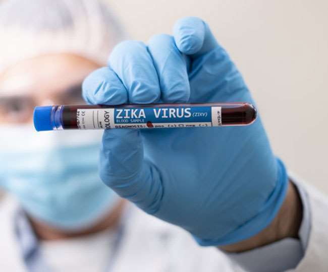 Zika Virus Symptoms Prevention and Treatment जीका वायरस की खबर से संबंधित प्रतीकात्मक फोटो।