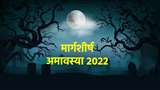Margashirsha Amavasya 2022: मार्गशीर्ष अमावस्या पर बिल्कुल भी न करें ये कार्य, वरना पितृगण हो जाएंगे नाराज