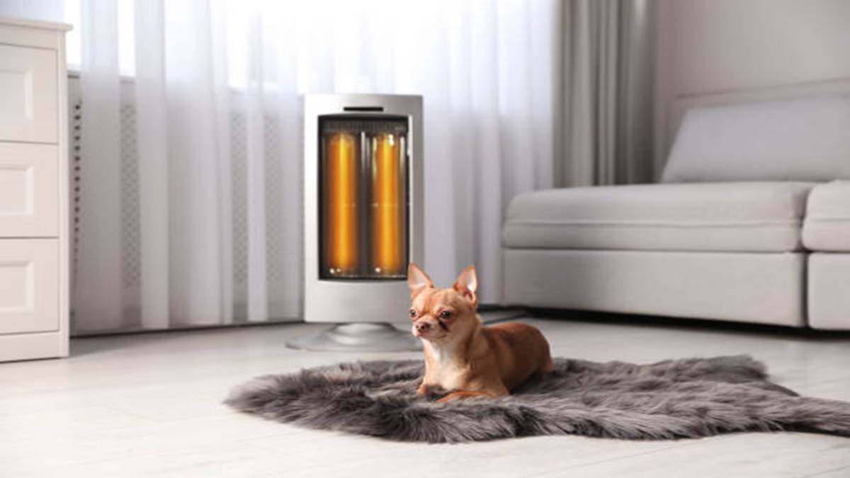 नहीं चाहिए धन और दौलत, बस दिला दो एक Best Room Heater in India, जो घर और लोग दोनों को देगा अंदर तक गर्माहट