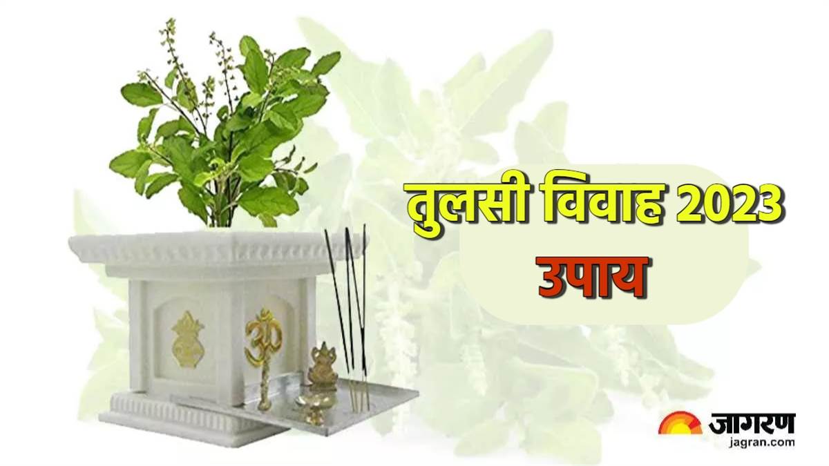 https://www.jagranimages.com/images/newimg/23112023/23_11_2023-tulsi_vivah_2023_5_23587437.jpg