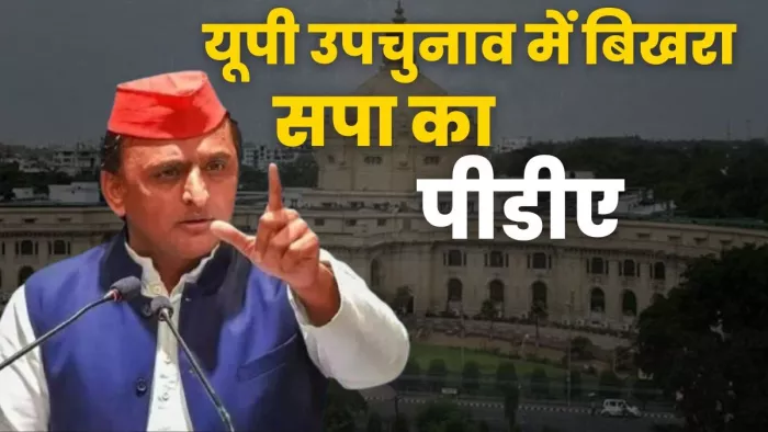 यूपी उपचुनाव में अखिलेश का पीडीए कार्ड नहीं चल सका। (तस्वीर जागरण)