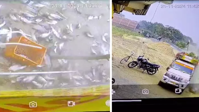 हादसे के बाद इस घटना का वीडियो वायरल हो रहा है। जागरण