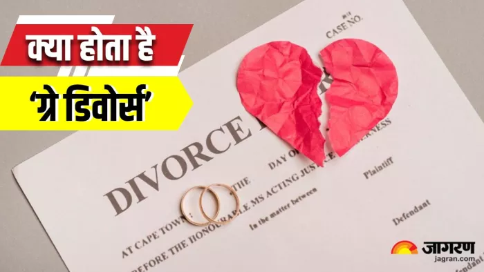 आखिर क्यों बढ़ रहे हैं Grey Divorce के मामले? किन वजहों से 50 की उम्र में भी तलाक ले रहे दंपति - Why are cases of Grey Divorce increasing For what reasons are couples getting divorced even at the age of 50