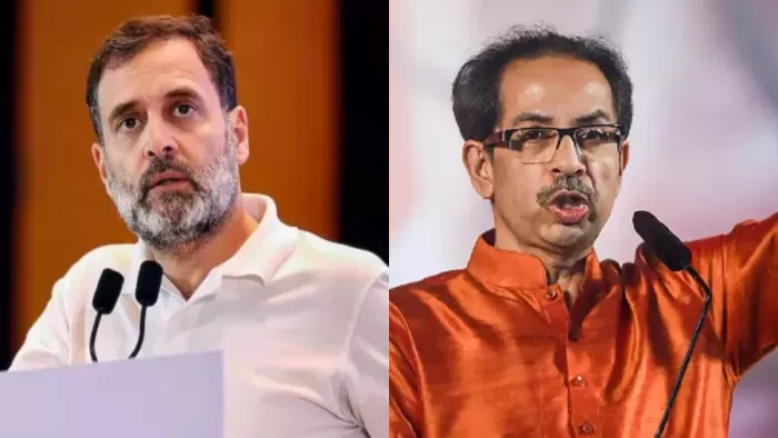 उद्धव ठाकरे ने चुनाव नतीजों पर ईवीएम पर भी संदेह जताया। (File Image)