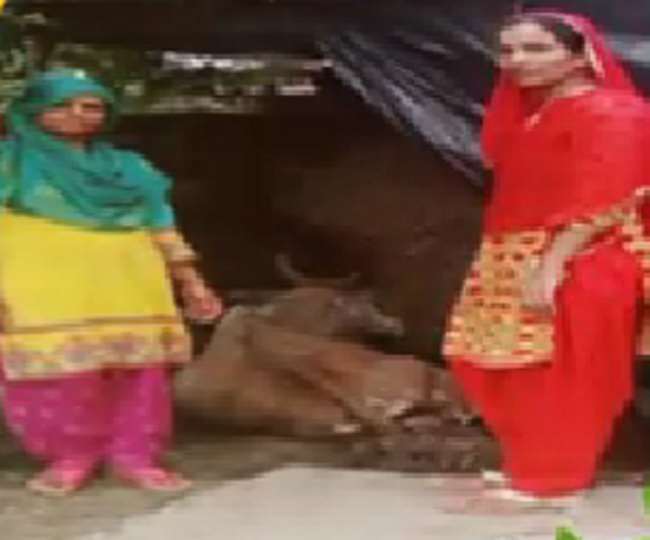 आर्थिक समस्याओं से लड़कर अनिशा ने हासिल किया मुकाम