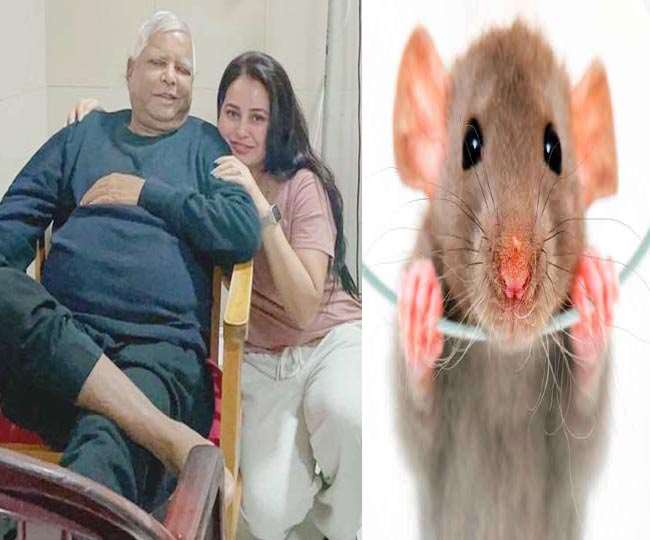 अस्पताल की एक्स-रे मशीन कुतरने के संबंध में लालू की बेटी रोहिणी ने तंज कसा है।
