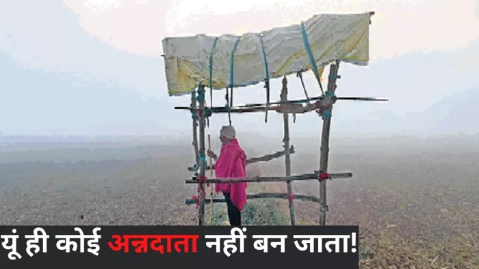 खेत में बने मचान से फसल की रखवाली करते किसान बाबूलाल वर्मा। -जागरण