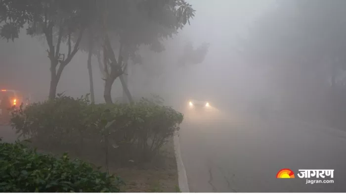कहर बरसा रहा है कोहरा, पंजाब और हरियाणा में बढ़ेगी ठिठुरन