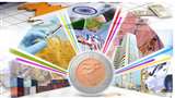 Indian Economic Growth in a critical phase slow growth