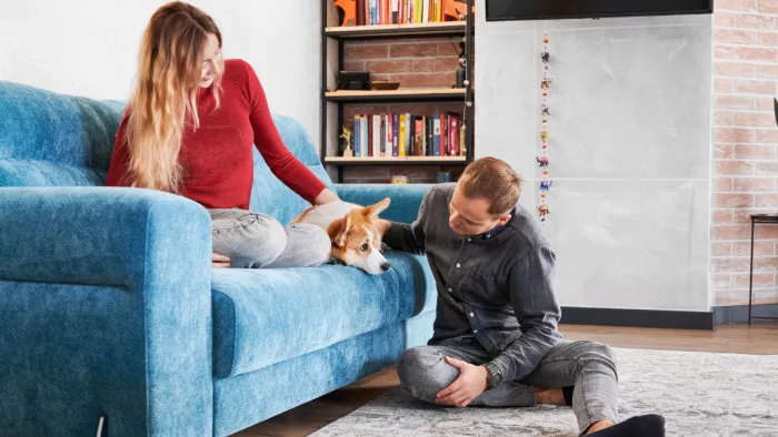 Pet Care Tips: सर्दियों के मौसम में ऐसे रखें अपने पालतू जानवरों का ख्याल