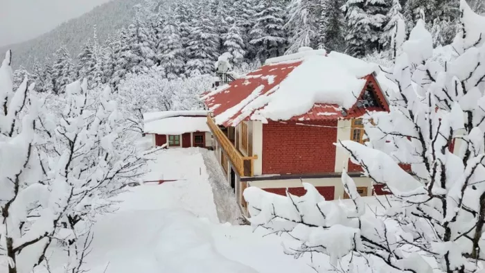 पहाड़ों पर ठंड का सितम, इन जिलों में बारिश और बर्फबारी का अलर्ट;