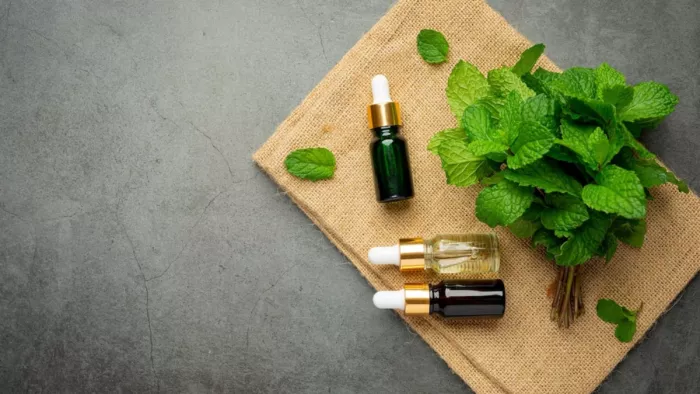 Essential Oil for Headache: सिरदर्द और माइग्रेन जैसी परेशानियों में कारगर हैं ये एसेंशियल ऑयल्स