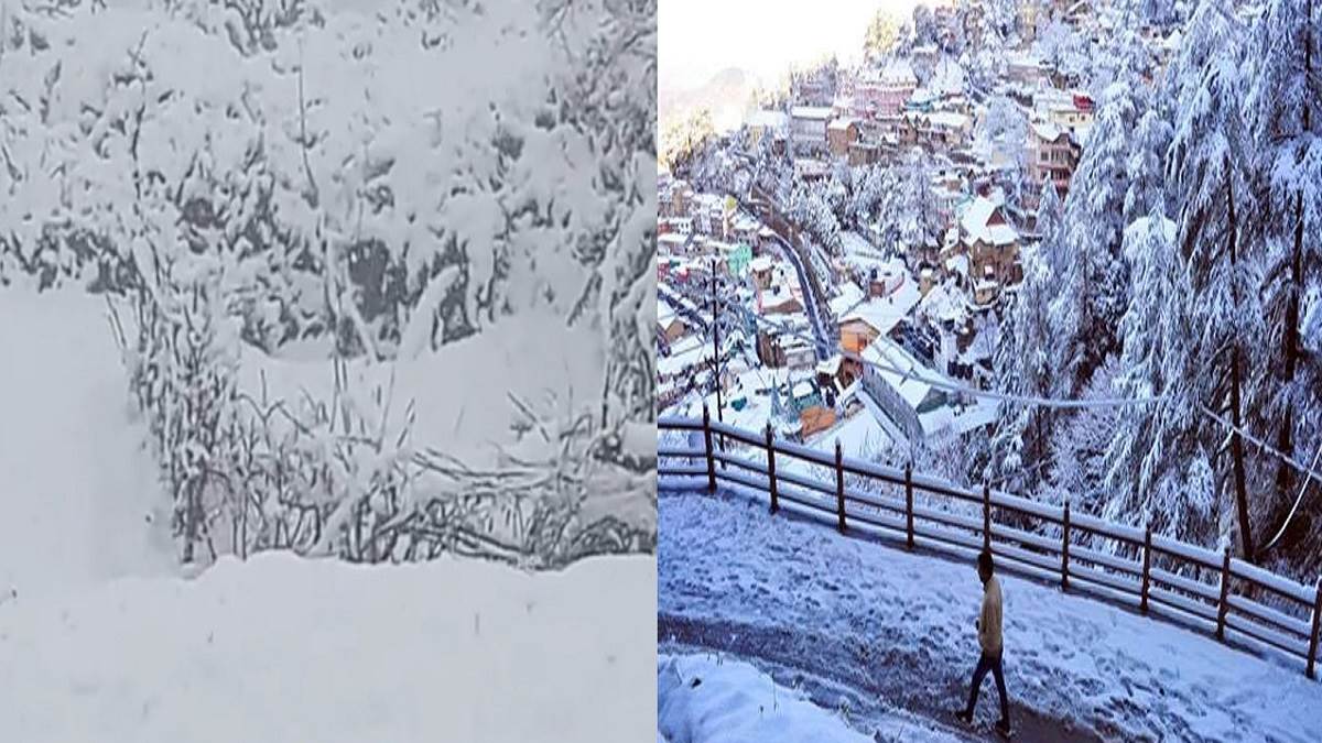 https://www.jagranimages.com/images/newimg/24012023/24_01_2023-hamirpur_weather_23307917.jpg