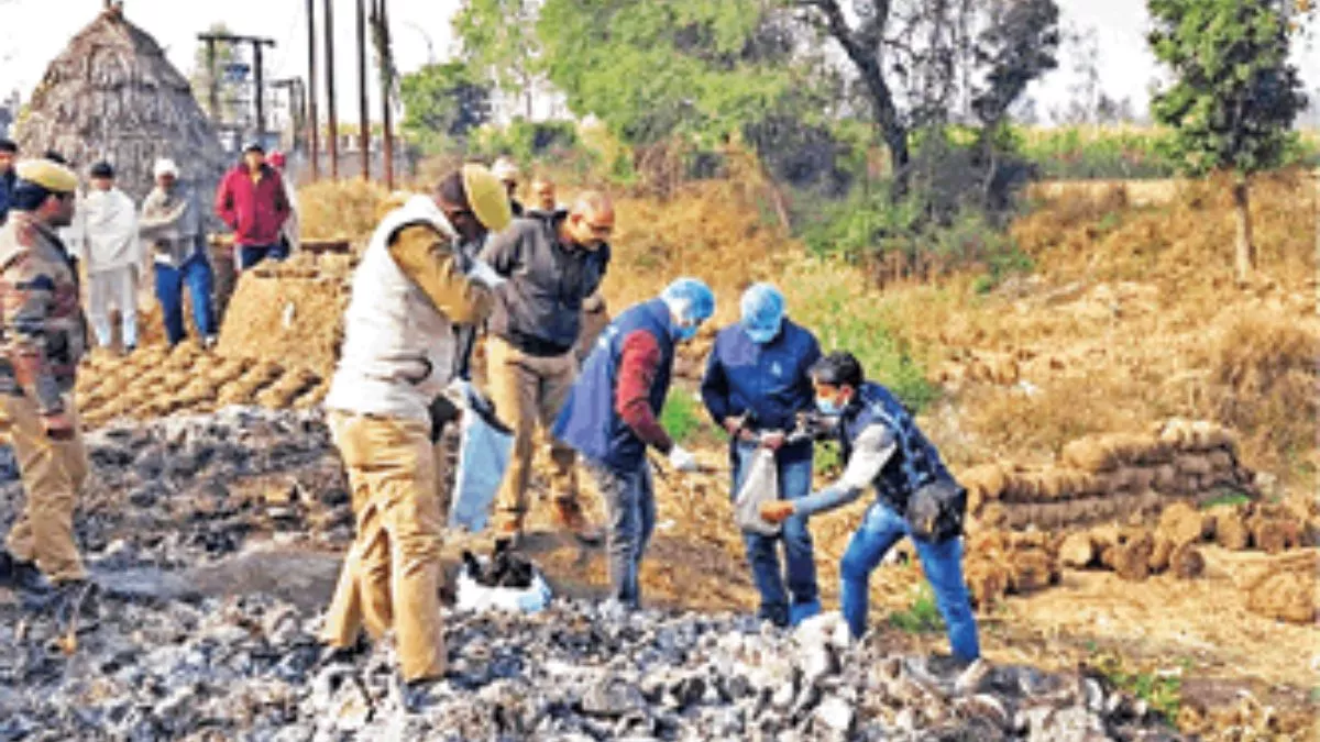 गांव खड़लाना में बिटोड़े की राख से हड्डियों के सैंपल लेती फोरेंसिक टीम। जागरण
