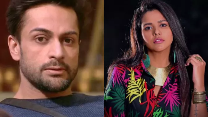 Bigg Boss 16 Shalin Bhanot Ex Wife Daljeet Kaur Comes in Support of Him. Photo Credit/Instagram