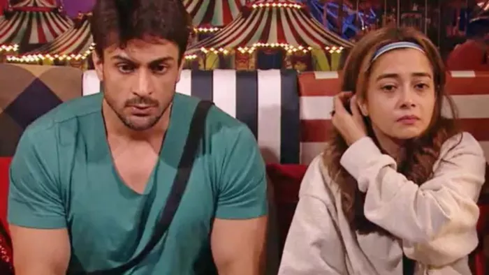 Bigg Boss 16 Contestant Shalin Bhanot Again Comments On Tina Datta, Instagram