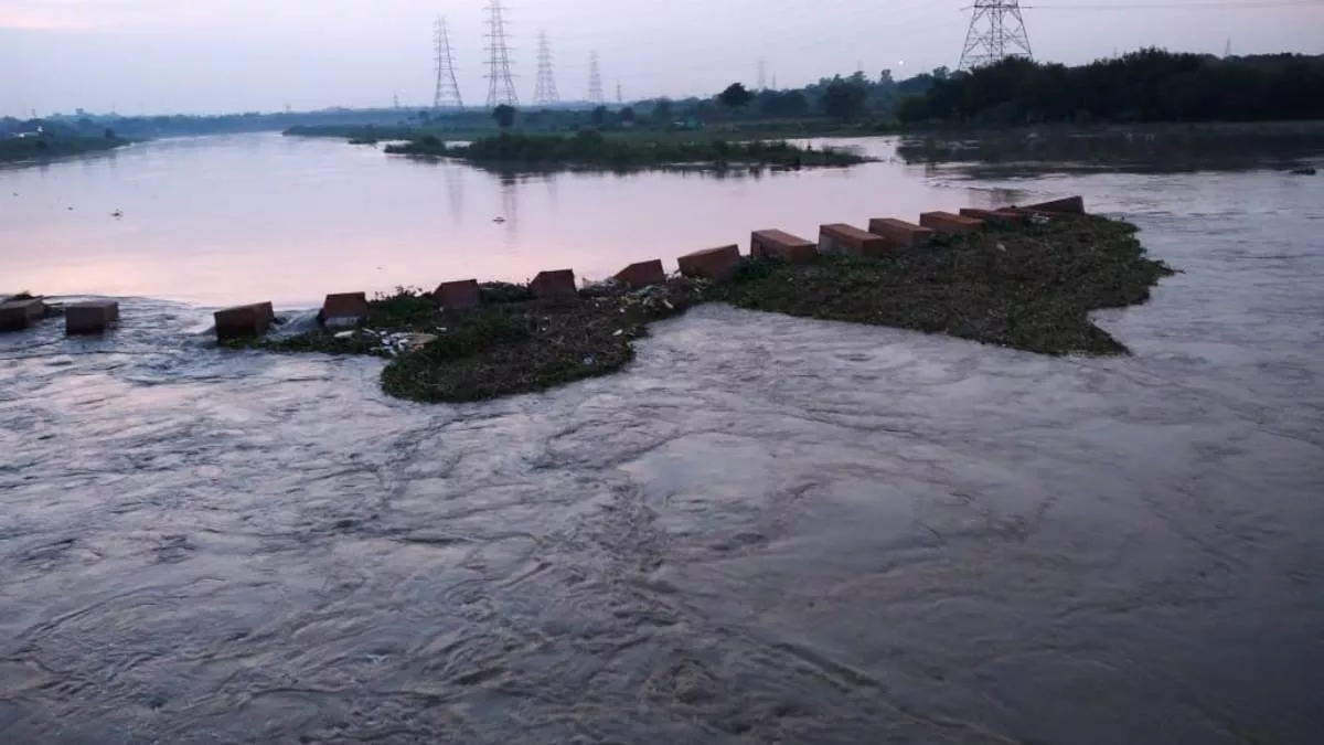 Delhi Yamuna Pollution: यमुना में दिखने लगा नजफगढ़ ड्रेन में हुए सुधार का असर
