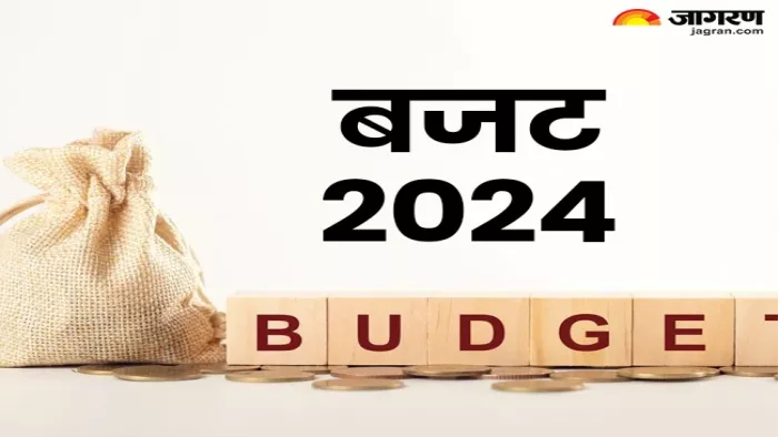 इस साल के बजट से हर सेक्टर को है कई उम्मीद