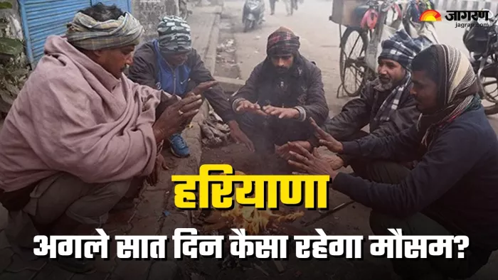 Haryana Weekly Weather News:फरवरी के मध्य तक कड़ाके की सर्दी पड़ने के आसार।