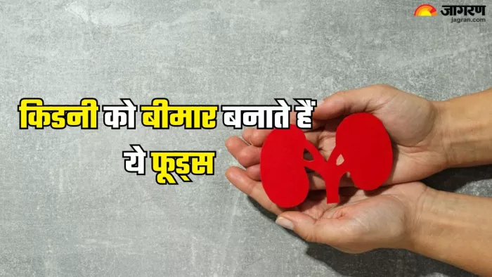किडनी के लिए हानिकारक 10 फूड्स (Picture Credit- Freepik)