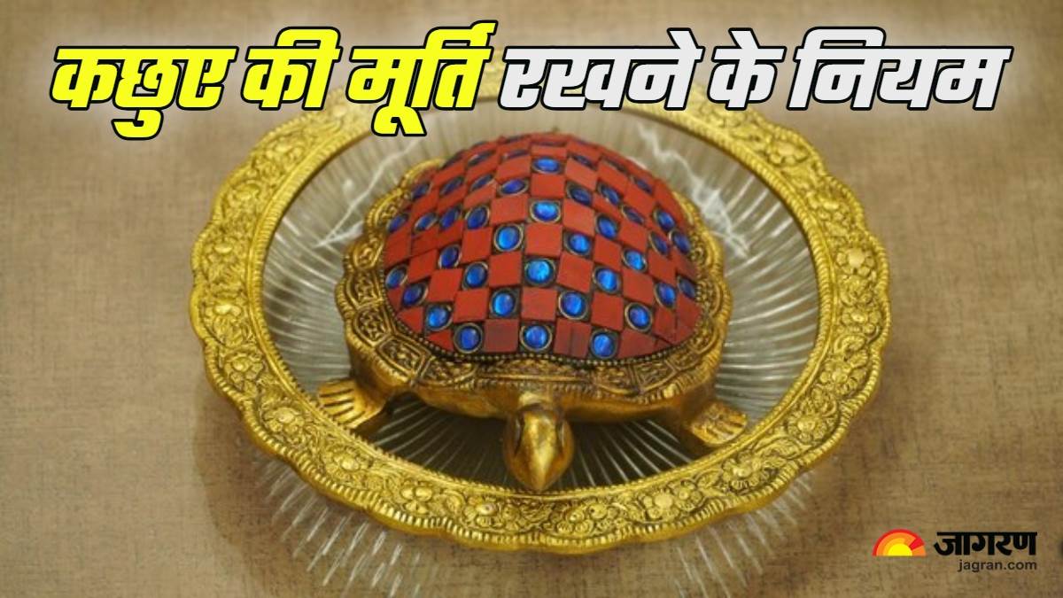 https://www.jagranimages.com/images/newimg/24012025/24_01_2025-vastu_tips_for_tortoise_2_23872371.jpg
