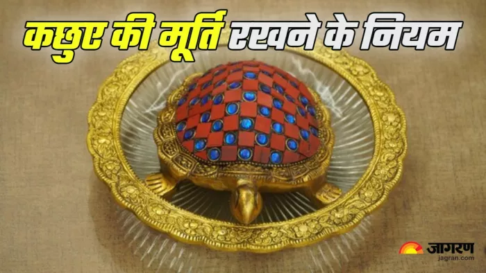 Vastu Tips for Tortoise घर में कैसी कछुए की मूर्ति रखें? (Picture Credit: Freepik)