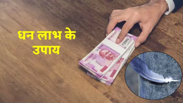Kabutar Ke Pankh Ke Upay: कबूतर के पंख से करें ये उपाय