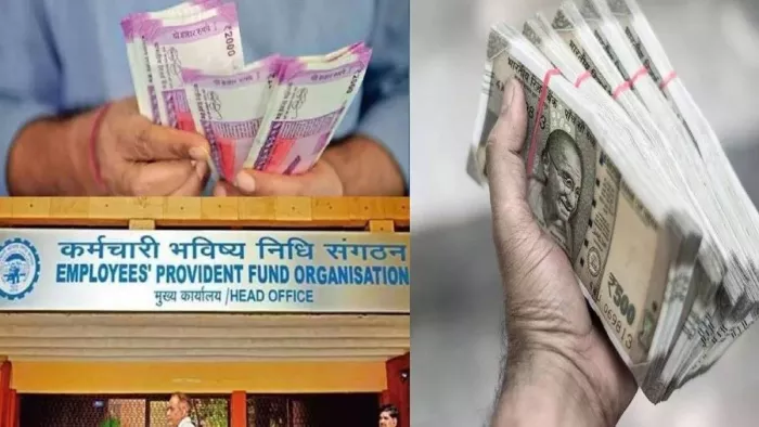 EPFO how to file e nomination, Full process