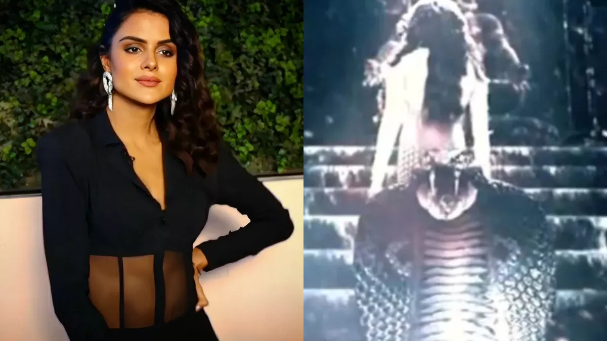 Naagin 7 प्रियंका चहर चौधरी बनेंगी एकता कपूर की नागिन सुम्बुल के बाद अब बिग  बॉस फाइनलिस्ट ने खोल दी जुबान - Naagin 7 After Sumbul Touqeer Priyanka  Chahar Choudhary Reacts on