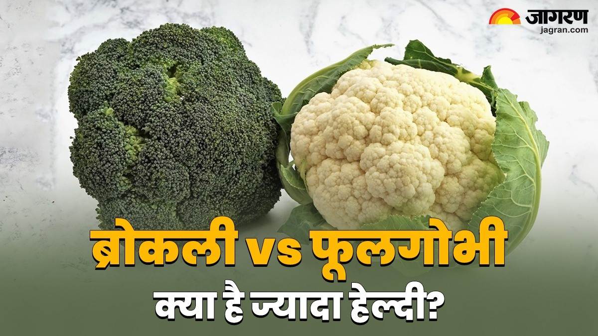 broccoli vs cauliflower in hindi which is better for health broccoli aur phool gobhi khane ke fayde