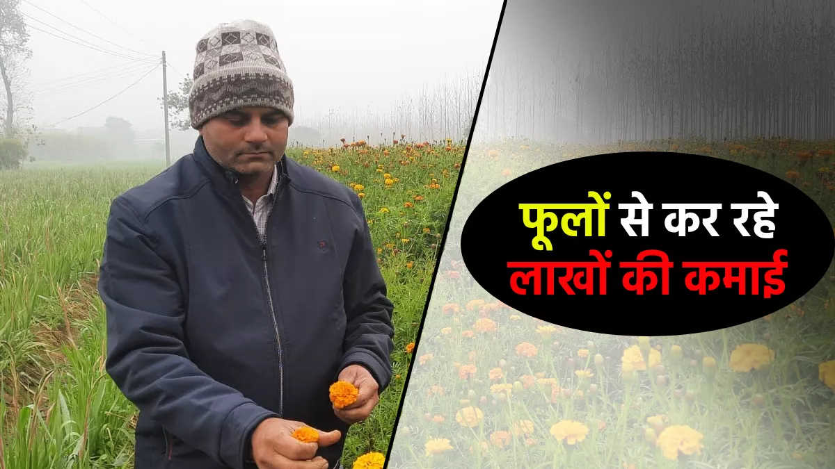Success Story: परंपरागत खेती करने पर वाले किसान गुरनाम को सूझा ऐसा आइडिया, अब फूलों के जरिए कर रहे लाखों की कमाई