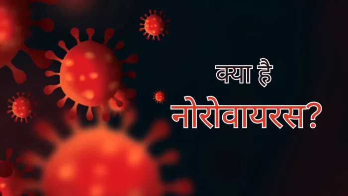 क्या है अमेरिका में कहर बरपा रहा नोरोवायरस
