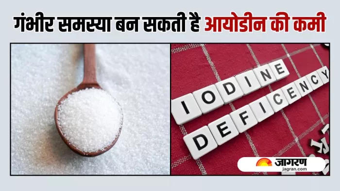 Iodine Deficiency से क्या नुकसान होते हैं और इसे कैसे दूर कर सकते हैं? (Image Source: Freepik)
