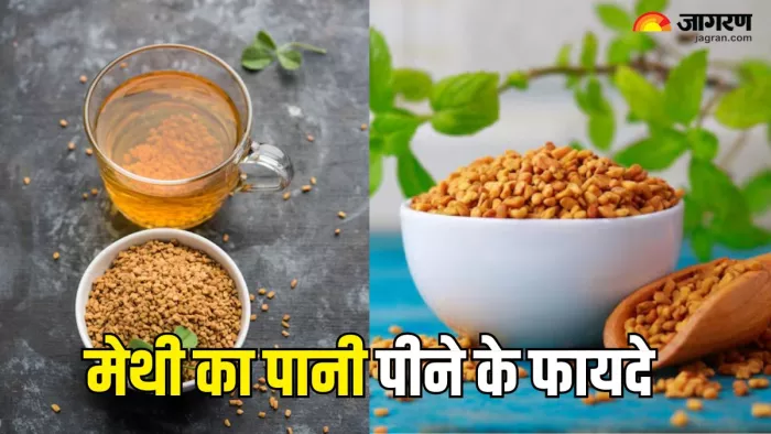 Methi Water Benefits: मेथी के पानी से दूर होंगी सेहत की कई परेशानियां (Picture Courtesy: Freepik)