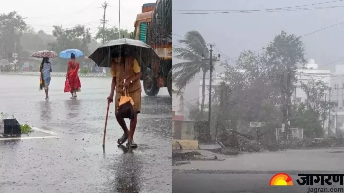 पंजाब में 26 फरवरी से फिर बदलेगा मौसम। फाइल फोटो