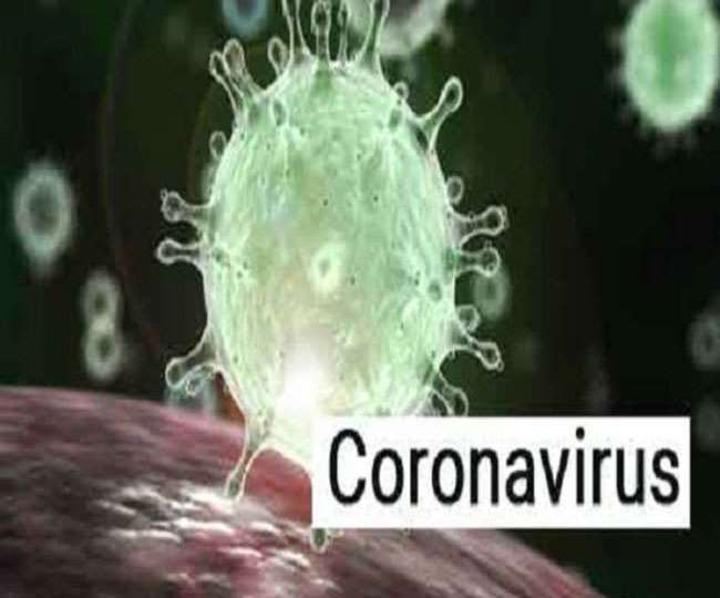 33 Positive Cases Of Coronavirus In Gujarat